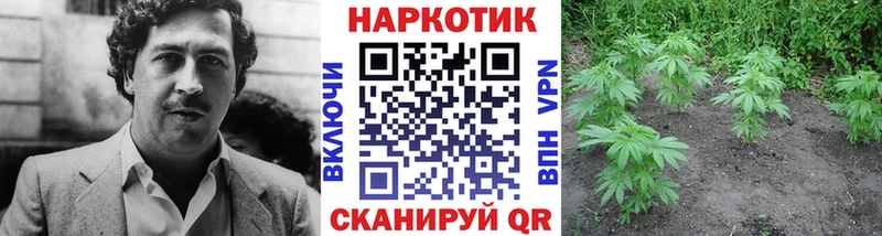 Наркошоп Называевск Канабис  А ПВП  Cocaine  ГАШИШ  Экстази  Мефедрон 