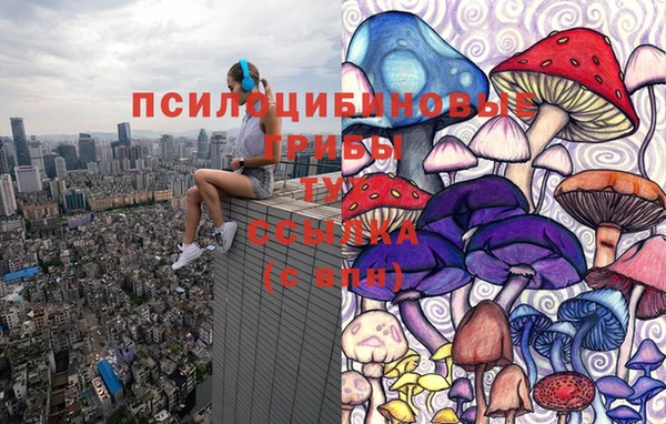 молекула духа Киреевск
