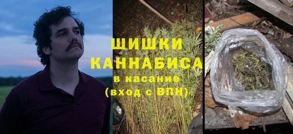 PSILOCYBIN Карталы