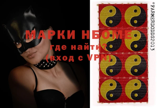 прущие грибы Каменногорск