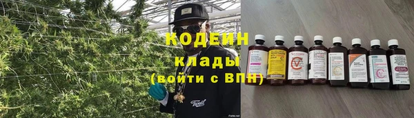 соль ск Пенза