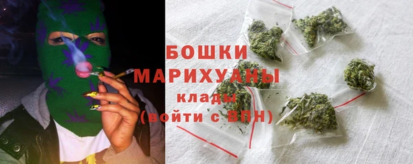 молекула духа Киреевск