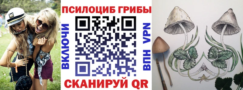как найти наркотики  Называевск  Псилоцибиновые грибы GOLDEN TEACHER 